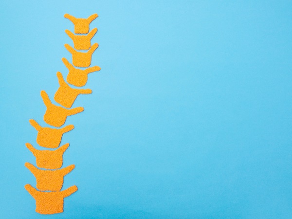 Spine on a blue background. The concept of spinal diseases, curvature of the spine and scoliosis, copy space